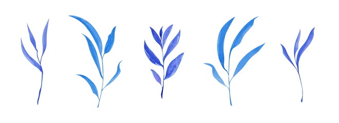Fototapeta na wymiar Set of hand drawn blue leaves. Sketch botanical illustration painting by watercolor isolated on white background. Decorative aquarelle art design elements