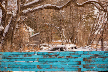 Fototapeta na wymiar A snow covered abandoned car behind a vibrant aqua painted wood fence that's peeling with overhanging bare trees in a deserted backyard in a winter afternoon landscape