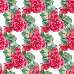 Naklejka premium Red begonia flowers with leaves on white background. Seamless floral pattern. Watercolor painting. Hand painted botanical illustration.Textile, packaging, paper design.