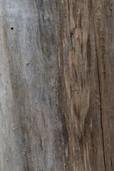 Obraz premium Old dry wood texture grey brown