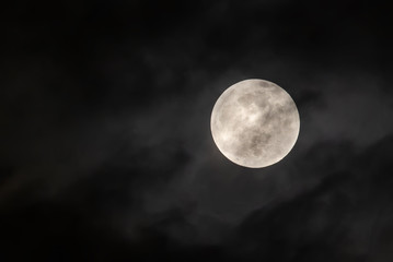 Naklejka na ściany i meble full moon in the night cloudy sky