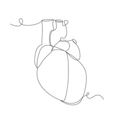 Human heart one line drawing on white isolated background