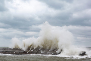 Fototapeta na wymiar The Beast Unleashed: A Menacing Wave Meets the Shore