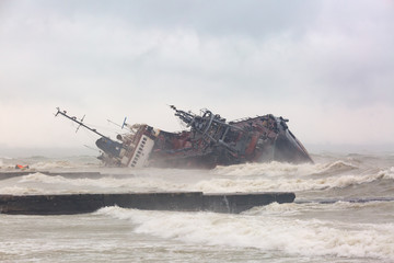 Shipwrecked: The Dramatic Scene on Odessa's Beach