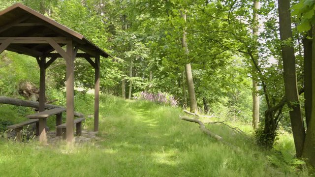 Green forest with tall green trees, shed by a rocky mountain on the side with benches and a table.