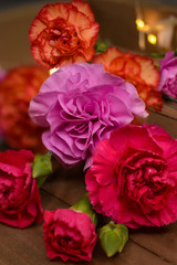 Pink, Orange and Red Carnation Flowers Laying on Wood Tray, Close-Up