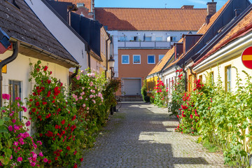 A small town cobble stone street bordered with townhouses and roses and other plants