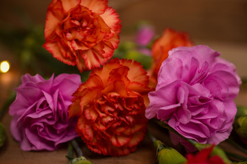 Pink, Orange and Red Carnation Flowers Laying on Wood Tray, Close-Up