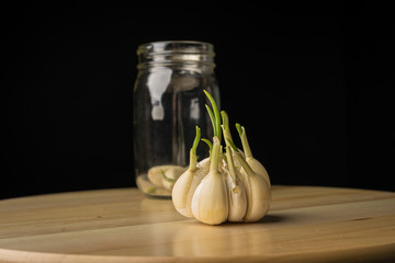 Garlic that has started to sprout