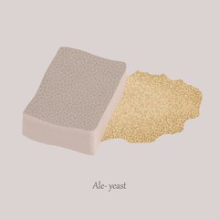 A square piece of Ale-yeast on a gray background. Brewer's yeast, organic product and logo.
