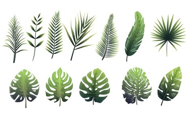 Set of green leaves of fern, tropical trees. Leaves of different shapes with gradient fill.