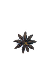 Star anise isolated on a white background. Spice in the shape of a star. Anise.