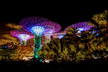 The Supertrees in the Gardens by the Bay in Singapore