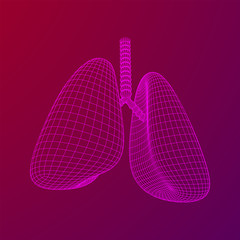 Lungs with trachea bronchi internal organ human. Pulmonology medicine science technology concept. Wireframe low poly mesh vector illustration