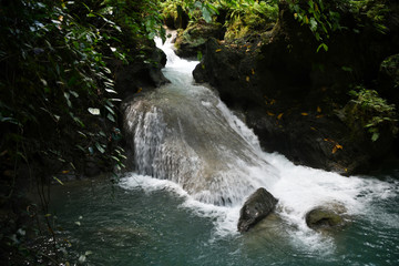 Fototapeta premium mountain river and waterfall in a tropical forest on the philippine islands