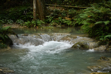 Some of your changes could not be saved. Please correct the items highlighted in red below and try again.