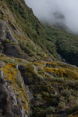 Franz Josef Glacier. New Zealand. Mountains