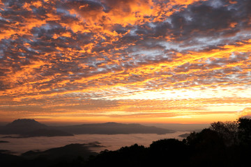 Fototapeta na wymiar The sky is dense scales and fog before sunrise.