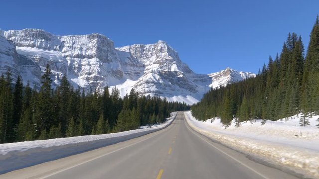 POV Scenic view of wintry landscape during a road trip along Icefields Parkway. Driving along the empty country road offering a stunning view of lush evergreen woods and snowy Canadian Rocky Mountains