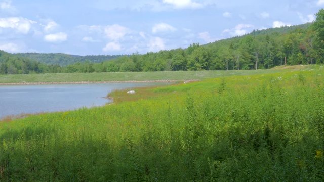 366 Plains and lake with forest and mountains in West Virginia 
