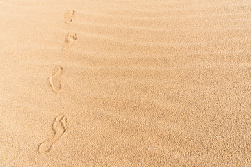 Fototapeta na wymiar Footprints on sand. Walking on the beach. Wandering through desert