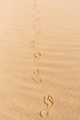 Fototapeta na wymiar Footsteps on yellow sand on a sunny day. Footprints on beach