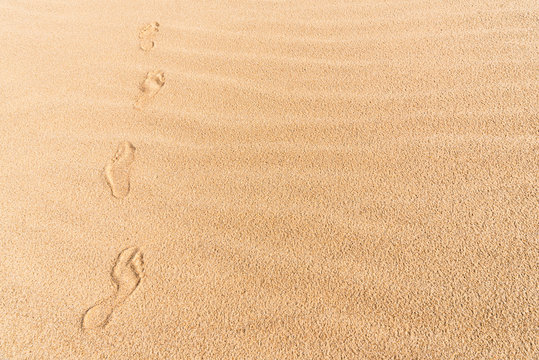 Footprints on sand. Walking on the beach. Wandering through desert