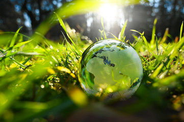New year green glass globe sphere earth ball europe and asia world with green leaves and morning...