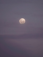 full moon in the sky