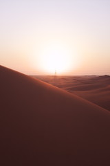 Fototapeta na wymiar Beautiful desert sunrise in the Arabian desert in Riyadh, Saudi Arabia