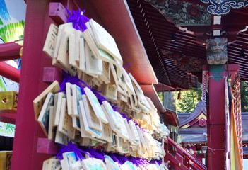 Obraz na płótnie Canvas 日本の有名地　パワースポットの箱根神社