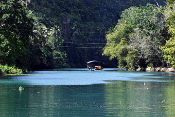 green river in tropical forest on bohol island in philippines