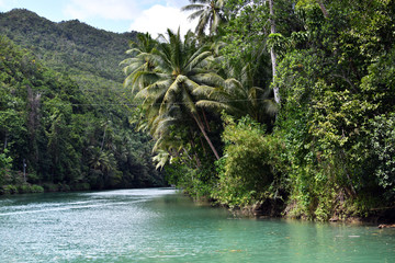 green river in tropical forest on bohol island in philippines