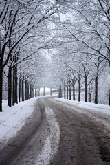 Saint-Etienne sous la neige, Loire