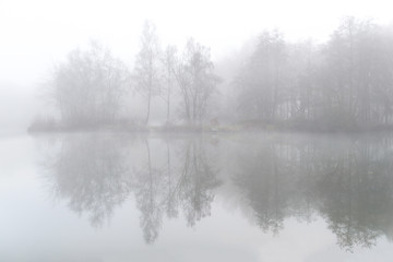 Fog over the pond on the field in Ardooie in West Flanders