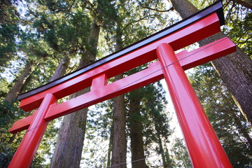 日本の有名地　パワースポットの箱根神社