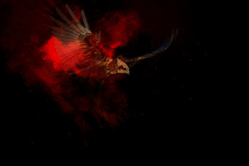 Bird of prey. Art effect. Black background. 