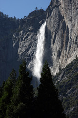 Yosemite Park, Yosemite National Park, California, USA
