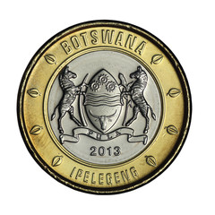 five botswana pot with insect