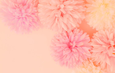 Fototapeta premium Beautiful abstract color orange purple and pink flowers on white background and white flower frame and pink leaves texture, light pink background, colorful banner happy valentine