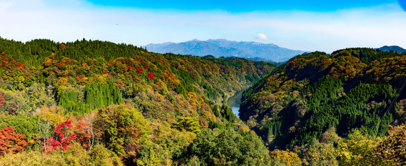 阿蘇　長崎鼻展望台から紅葉風景　阿蘇郡蘇陽町　aso  Autumn leaves view from Nagasakibana Observatory　Soyo-cho, Aso-gun