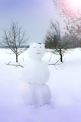 Fototapeta premium cute smiling snowman with a funny haircut in the snow winter forest. snownam of white snow. Snowman in the forest. Family of snowmen. smiling snowman picture. winter snowman wallpaper.