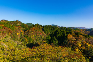 阿蘇長崎鼻展望台から紅葉風景阿蘇郡蘇陽町aso Autumn Leaves View From Nagasakibana Observatory Soyo Cho Aso Gun Wall Mural Korokichikun