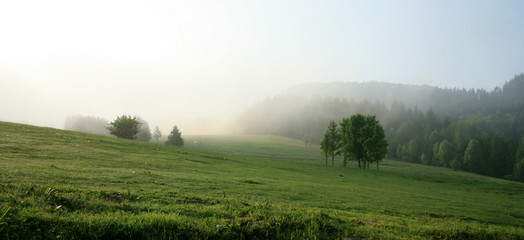 View of the Szczeliniec Wielki. Sunrise in the Table Mountains in Poland. Dawn in the meadows