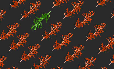 A green branch among other orange ones on a dark graphite background. The concept of otherness,...