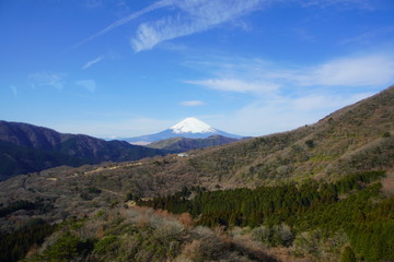 Fototapeta na wymiar 駒ヶ岳山頂から眺める日本で一番高い山の富士山