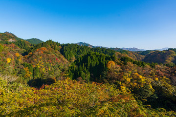 阿蘇　長崎鼻展望台から紅葉風景　阿蘇郡蘇陽町　aso  Autumn leaves view from Nagasakibana Observatory　Soyo-cho, Aso-gun