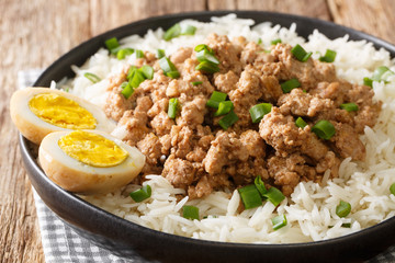 lu rou fan is a popular Taiwanese dish consisting of ground pork braised in soy sauce, five-spice powder, and rice wine served over rice close-up in a plate. horizontal