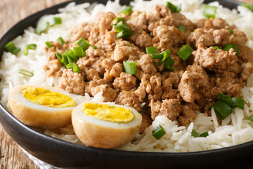 Lu Rou Fan Taiwanese Braised Pork Rice Bowl Ground pork served on top of steamed rice close-up in a plate. horizontal