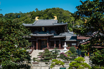 Fototapeta premium The Chi Lin Nunnery, a Buddhist temple in HongKong